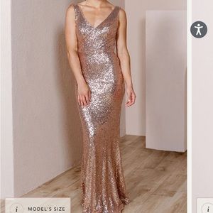 Revelry Dakota Rose Gold Sequin 203 Size 4 Petite Maxi 41 in waist to hem